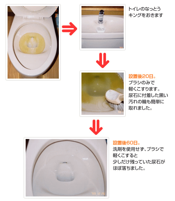 ビッグバイオ】トイレのなっとうキング